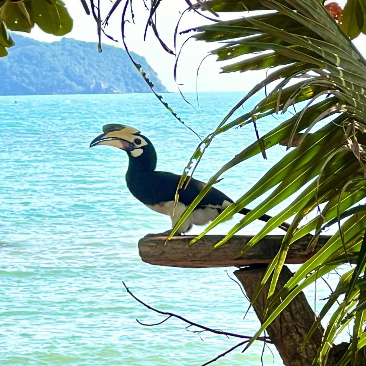 Koh Phaluai Beach Bangalow Ban Ko Nok Taphao ภายนอก รูปภาพ