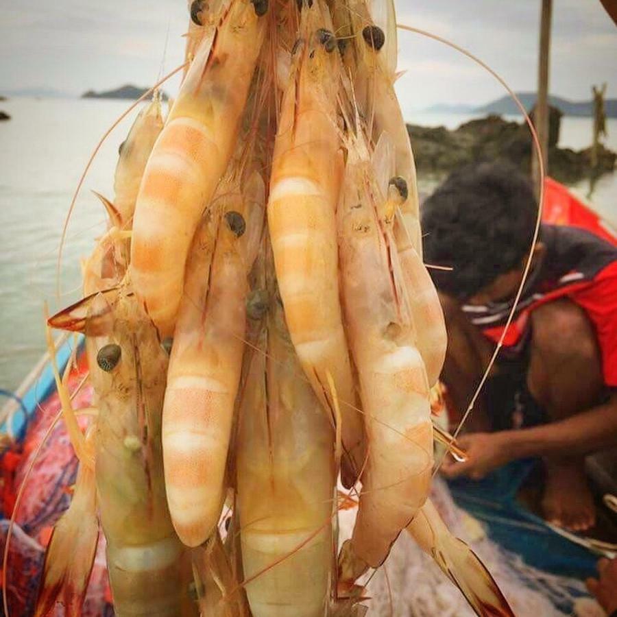 Koh Phaluai Beach Bangalow Ban Ko Nok Taphao ภายนอก รูปภาพ